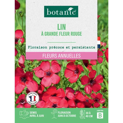 Espace vert pratique：Graines de fleurs Lin à grande fleur rouge botanic®