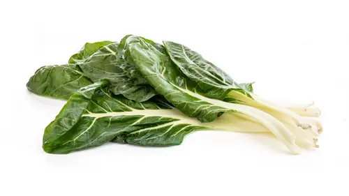 Pour vivre le jardin autrement:Blette pied bio - Prix au kg