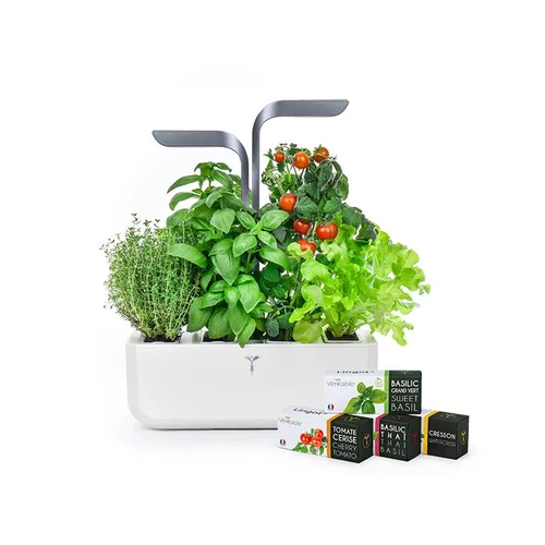 Idée au jardin：Potager d'intérieur autonome Véritable® CONNECT Infinity Grey - livré avec 4 lingots