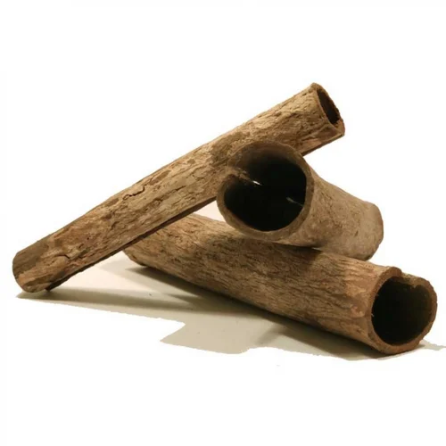 Pensé pour le jardin：Tubes de Cattapa naturels, SUPERFISH - lot de 3