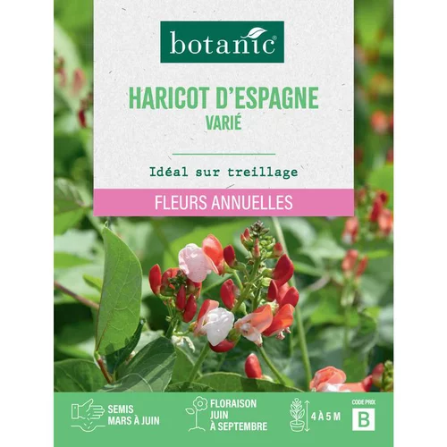 Facile extérieur：Graines de fleurs d'Haricot d'Espagne varié botanic®