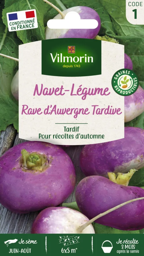 Style extérieur:Navet Rave d'Auvergne tardif Vilmorin - graines à semer