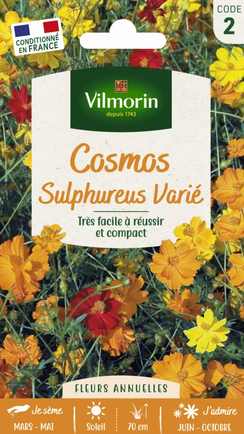 Esprit jardin:Cosmos Sulphureus Varié Vilmorin - graines à semer