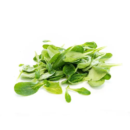 Jardin chez vous:Salade mâche bio de France en Barquette de 100g - Prix à la pièce
