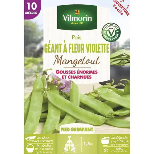 Jardin et déco：Graines de pois géant à fleur violette mangetout Vilmorin - graines à semer