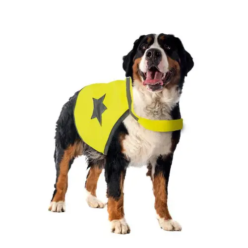 Tout au jardin：Gilet de sécurité jaune fluo pour chien 64 cm