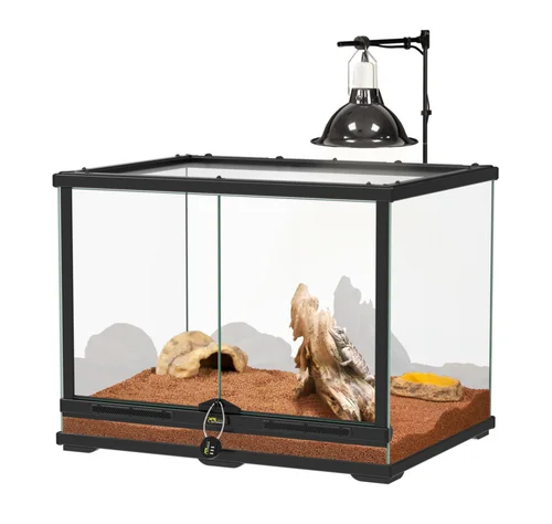 Jardin et nature:Kit pour pogona juvénile coloris noir Terratlantis - 60 x 45 x 45 cm