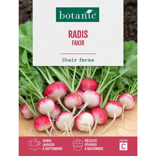 Le choix pour l’extérieur:Graine de radis fakir botanic® - graines à semer