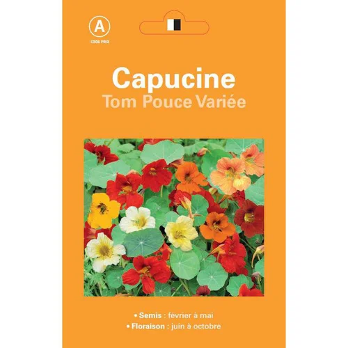 Pour un extérieur plus agréable：Graines de Capucine Tom Pouce variée - graines à semer
