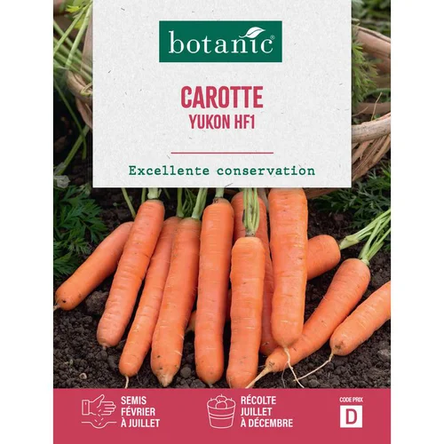 Spécial jardin:Graines de Carotte Yukon Hybride F1 botanic® - graines à semer