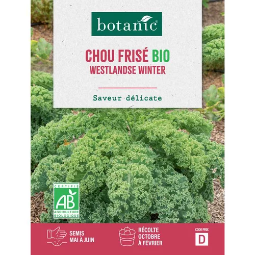 Pour profiter pleinement de l’extérieur：Graines de chou kale westlandse winter bio botanic® - graines à semer