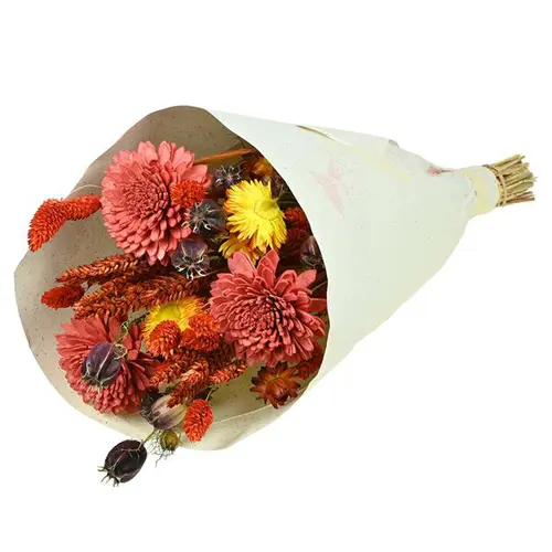 Idée extérieure：Bouquet de fleurs séchées Naturalys - Bouquet Sola S rouge - 50 cm