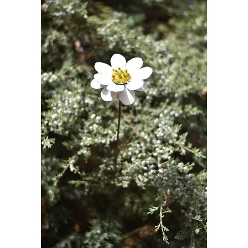 Une sélection pour le jardin：Tuteur marguerite en métal recyclé peint blanc Chouette & Co