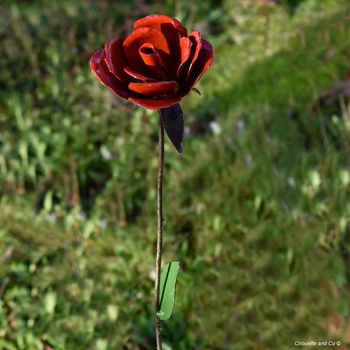 Le bon choix pour l’extérieur:Tuteur Rose rouge