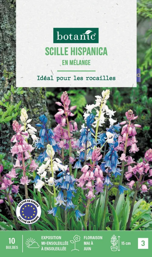 Une touche extérieure:Scilla hispanica en mélange botanic® - 10 bulbes