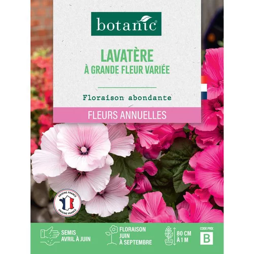 Durable au jardin：Graines de lavatère à grande fleur variée botanic® - graines à semer