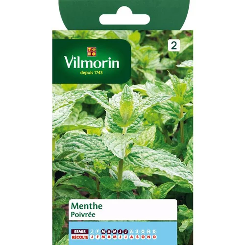 Vie extérieure：Graines de menthe poivrée Vilmorin - graines à semer