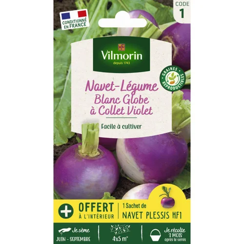 Idée jardin：Sachet de graines de navet-légume blanc globe à collet violet