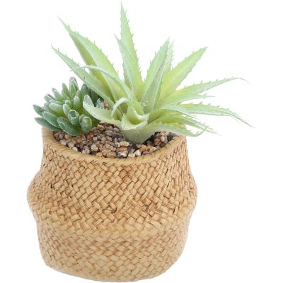 Succulente artificielle dans pot tressé 22 x 14 cm