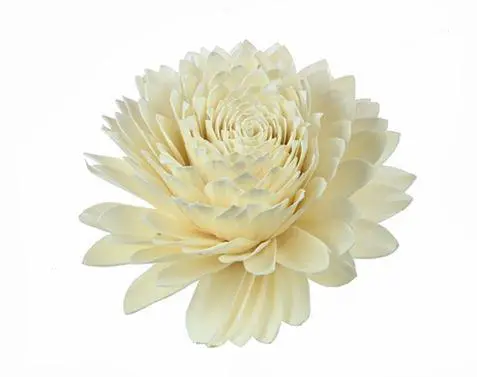 Pour tous les jardins:Tête de fleur de Sola blanche à suspendre Naturalys - Ø 25 cm