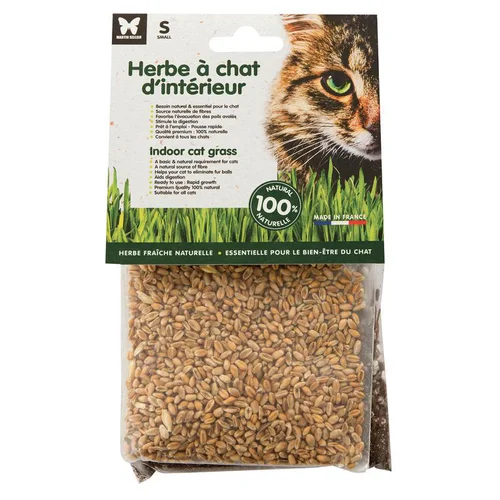 Jardin confort plus:Herbe à chat d’intérieur Martin Sellier petit modèle - graines à semer