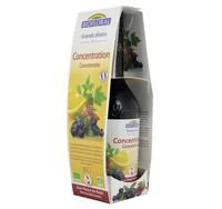 Confort dehors:Elixir concentration bio Biofloral - 350 ml
