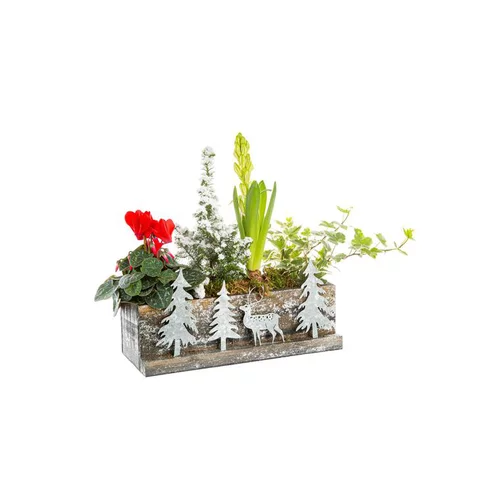 Tendance au jardin：Composition Jardiniere Bois Foret Argent