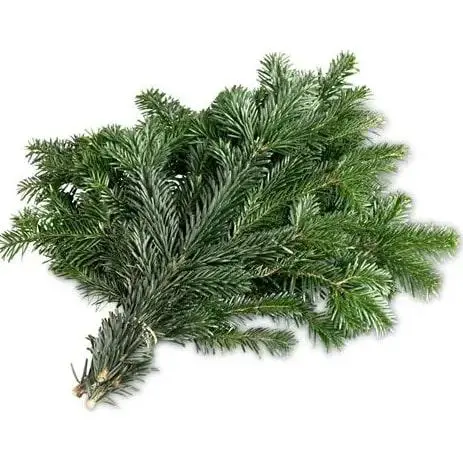 Jardin inspiration：Bouquet de branches de bouleau pailletées pour décoration de Noël coloris vert - 50/70 cm
