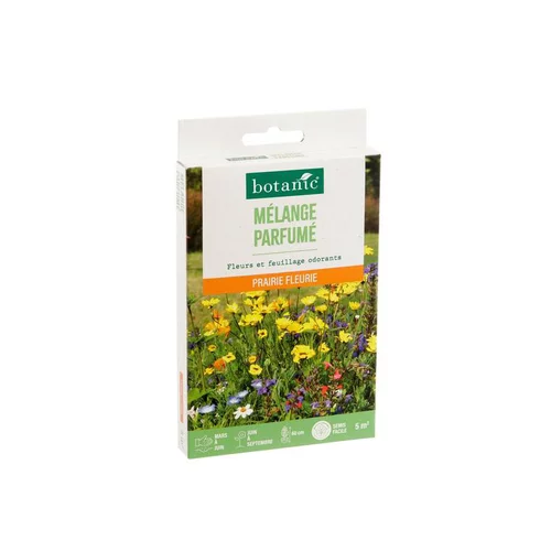 L’essentiel pour l’extérieur:Mélange parfumé de graines botanic® - graines à semer (5 m²)