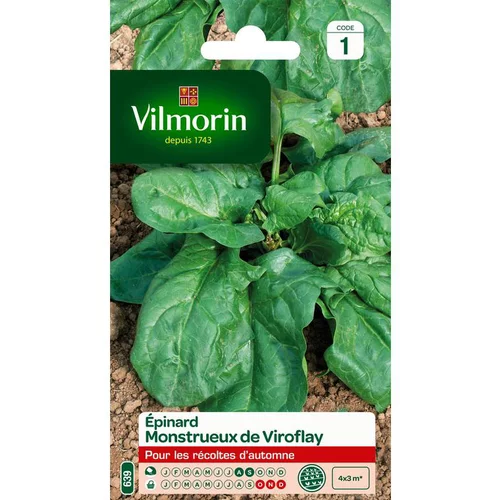 Pour un jardin plus pratique：Graines d'épinard monstrueux de Viroflay Vilmorin - graines à semer