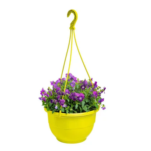 Une touche jardin:Viola Cornuta - La suspension de 18 cm