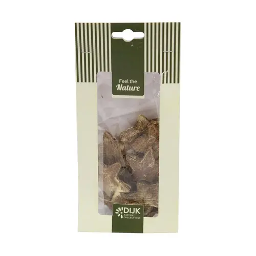 Équipement extérieur：Étoiles de coco coloris lait d’or en sachet - les 10 pièces