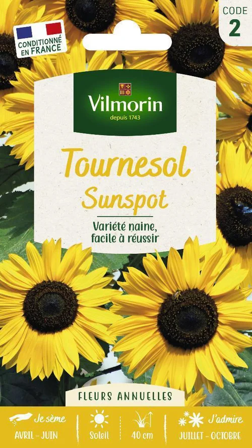 Une touche pratique au jardin：Graines de Tournesol Sunspot Vilmorin - graines à semer