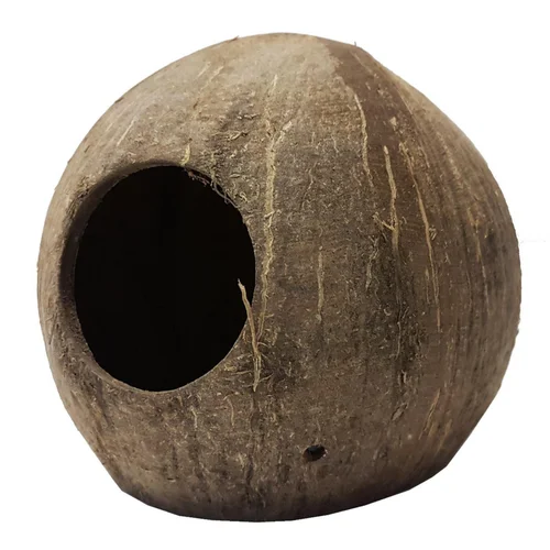 Extérieur plaisir:Noix de coco pour terrarium coloris marron Reptile Planet Coco Cave