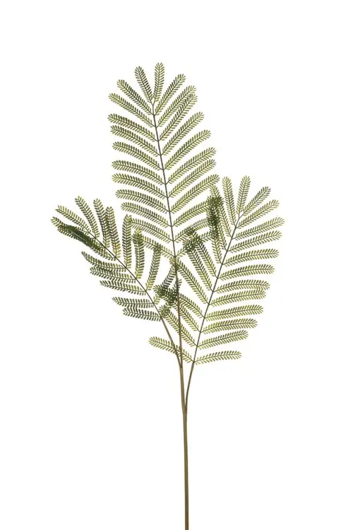Jardin service：Branche de feuille de mimosa artificielle 3 rameaux - 35 x 35 x 90 cm