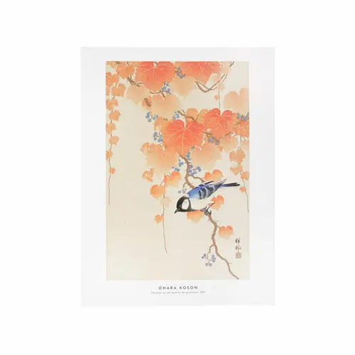 Jardin & pratique：Affiche mésange sur une branche - 30 x 40 cm