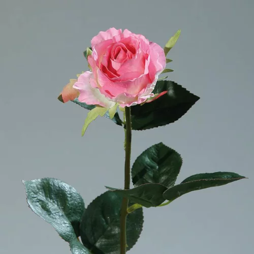 Jardin et plaisir:Rose colombienne artificielle