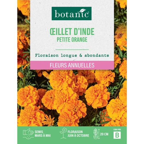 Pratique au jardin：Graines de fleurs d'Œillet d'inde petite orange botanic®