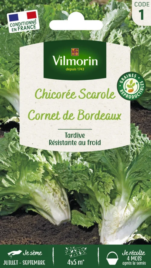 Pour votre projet：Chicorée Scarole Corne de Bordeaux Vilmorin - graines à semer