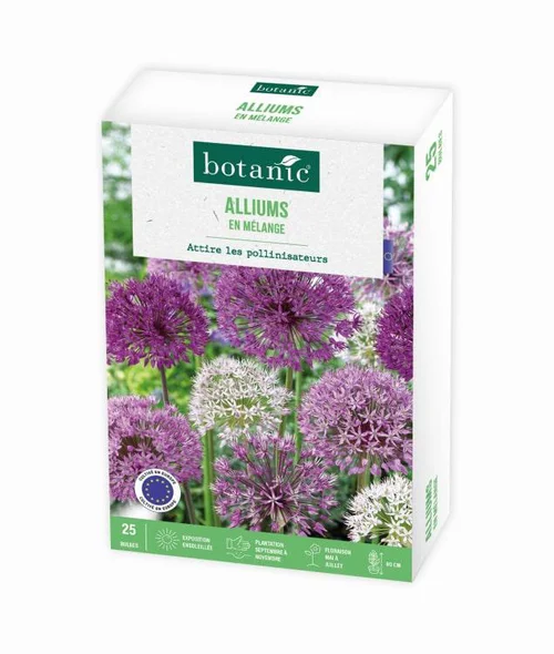 Malin jardin：Allium botanic® - 25 bulbes