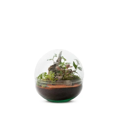 Idéal pour vos extérieurs:Terrarium Bulle de Nature Mini Monde en verre transparent Naturalys taille M - Ø 20 x 20 cm