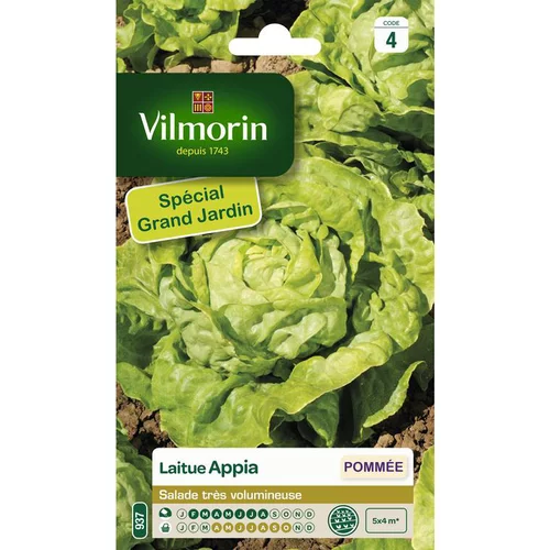 Jardin accessoire：Graines de laitue Appia Vilmorin - graines à semer