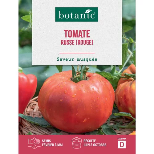 Jardin pour tous：Graines de tomate russe botanic® - graines à semer