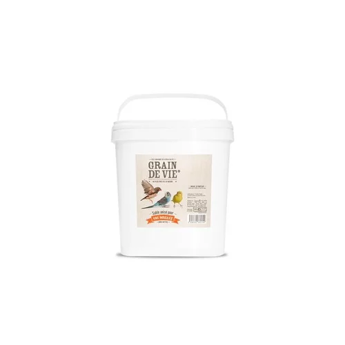 Une solution pour le jardin：Sable anisé blanc antibactérien pour oiseaux Grain de Vie - 6 kg