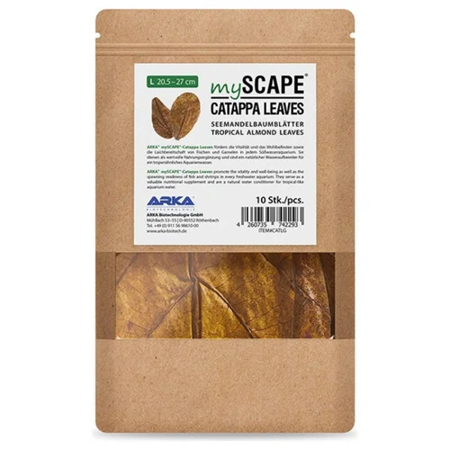 Bien pensé extérieur：Feuilles de badamier taille L - ARKA mySCAPE-Catappa - 20,5/27cm - 10 pièces