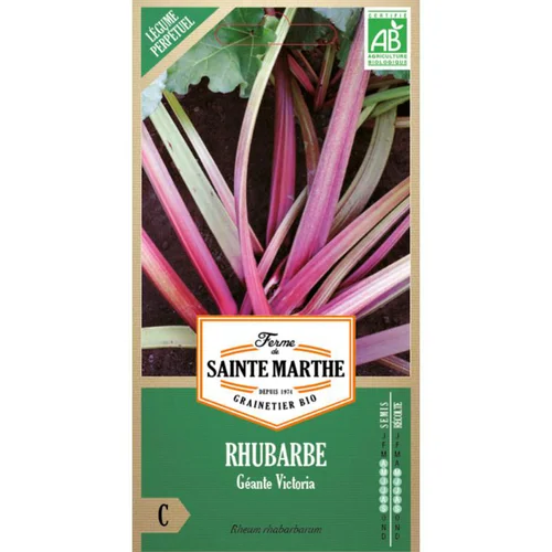 Une solution adaptée au jardin:Graines de Rhubarbe Victoria bio Ferme de Sainte Marthe - 100 graines à semer