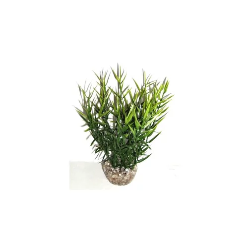 Pour transformer votre jardin：Herbe marine verte en plastique 16 cm