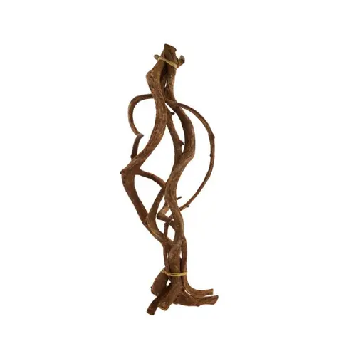 Jardin tout terrain：Ensemble de 5 branches ondulées de vigne sauvage - 60 x 17 x 12 cm