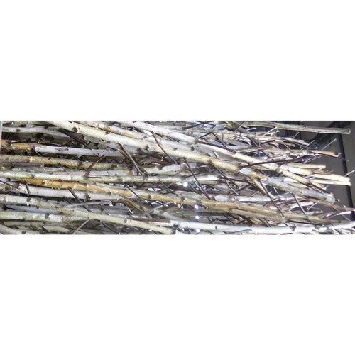 Bien pratique à l’extérieur：Branche de bouleau 150 à 200 cm - La branche