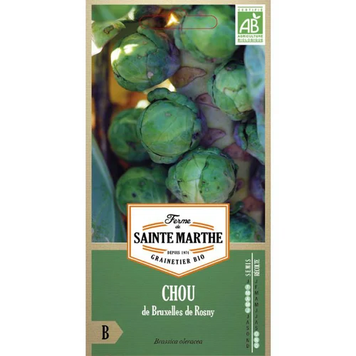 Déco au jardin：Graines de Chou de Bruxelles de Rosny bio Ferme de Sainte Marthe - graines à semer